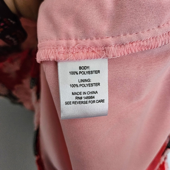 NWT Donna Ricco Strawberries & Cream Pink Sheer Embroidered Fit-and-Flare Dress - Picture 5 of 8